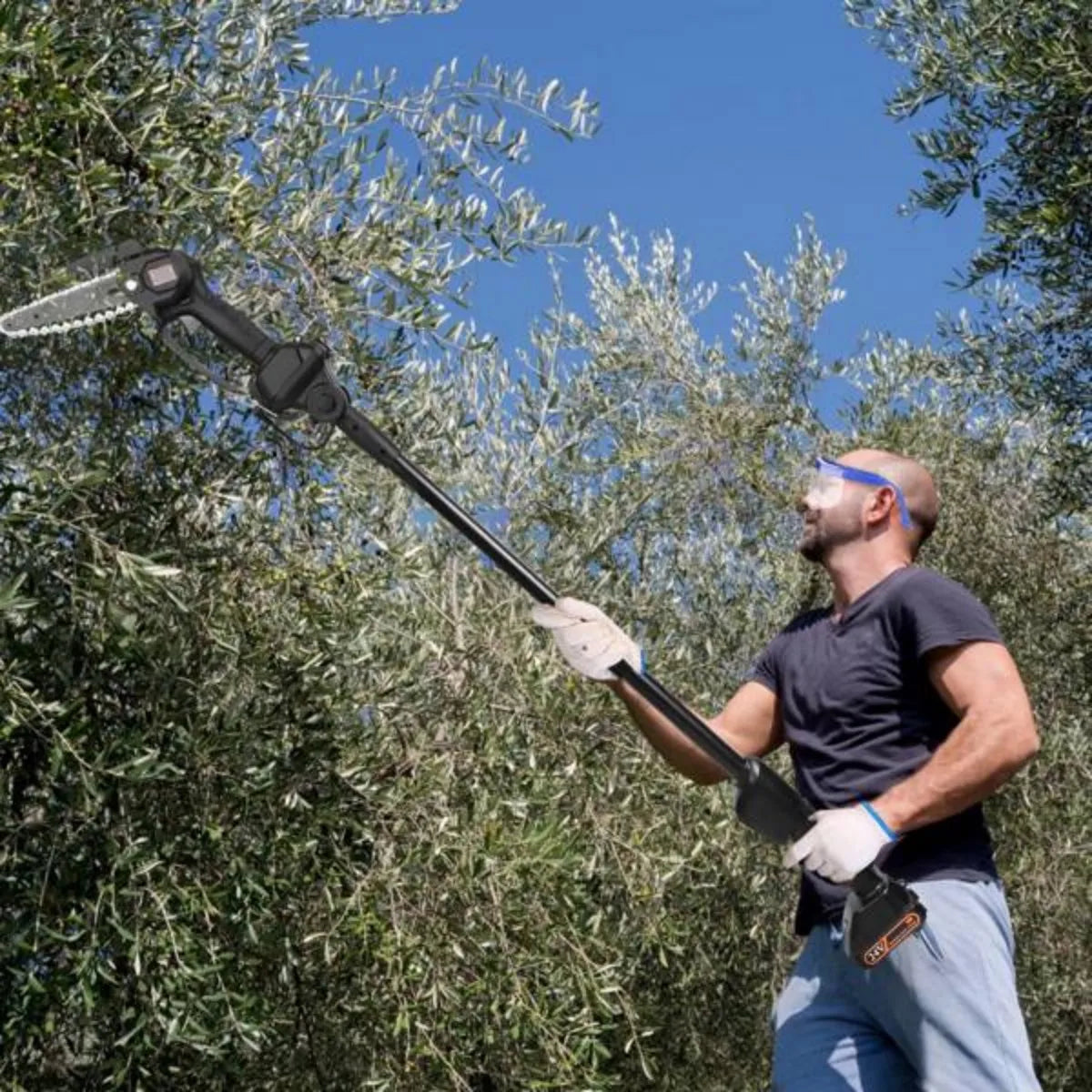 CrestiCut Cordless Pole Saw for Tree Trimming and Pruning