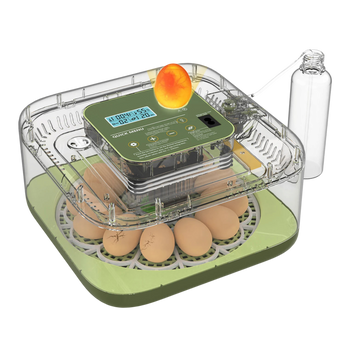 EggOriva