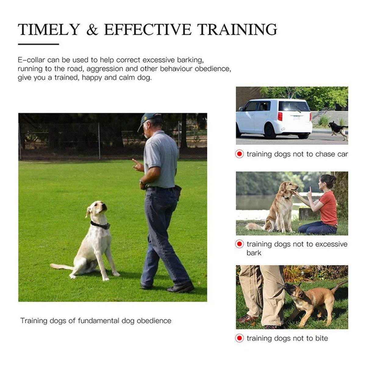 LoykaSoz Dog Training Collar with 880-Yard Remote & IP67 Waterproof Receiver