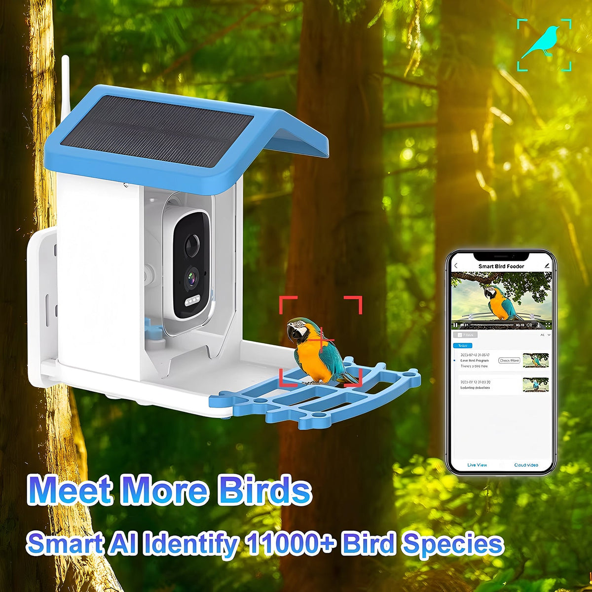 NestoLenzi AI Bird Feeder with 2K HD Camera & Solar Power