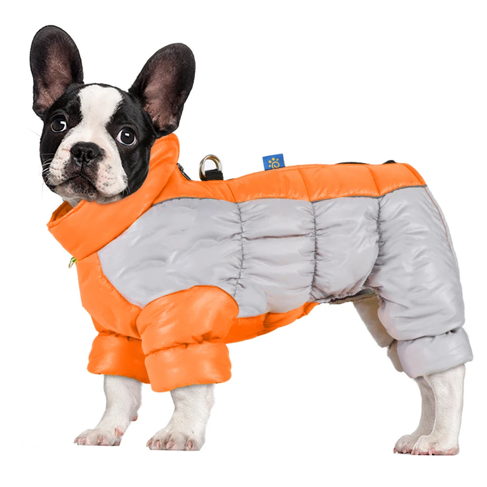 NordiPawi All-Weather 4-Leg Winter Dog Coat with Leash D-Rings