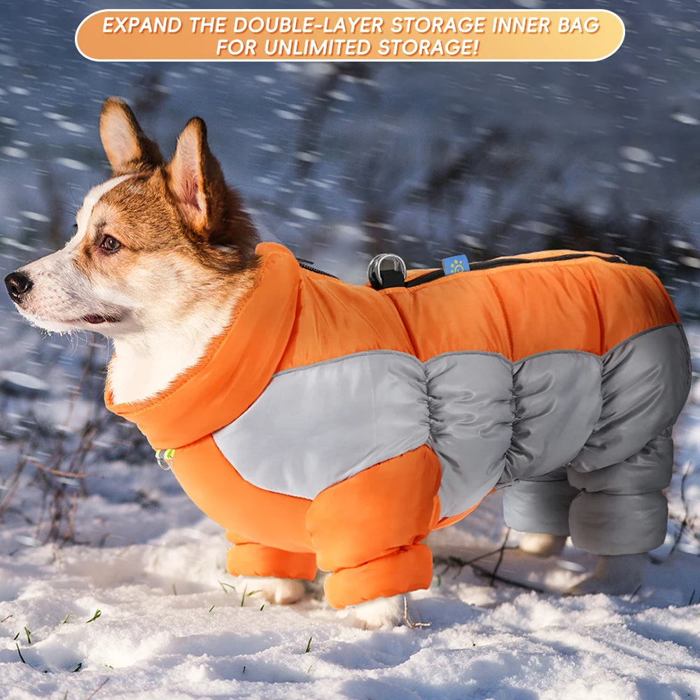 NordiPawi All-Weather 4-Leg Winter Dog Coat with Leash D-Rings