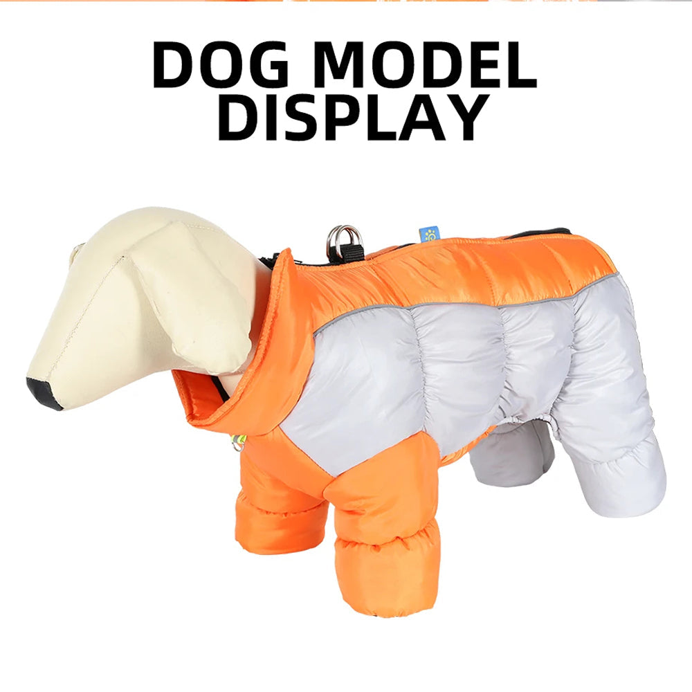 NordiPawi All-Weather 4-Leg Winter Dog Coat with Leash D-Rings
