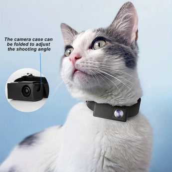 PawiPixel 1080P HD Pet Collar Camera with Stabilization