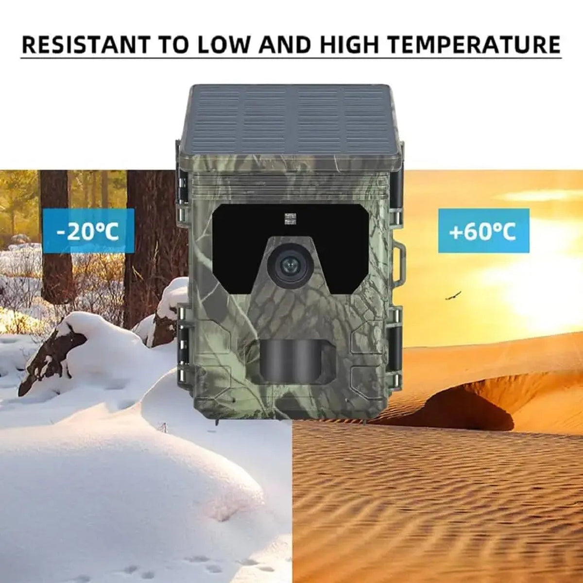 PawnixCam Solar Trail Camera | 50MP 4K No-Glow Night Vision