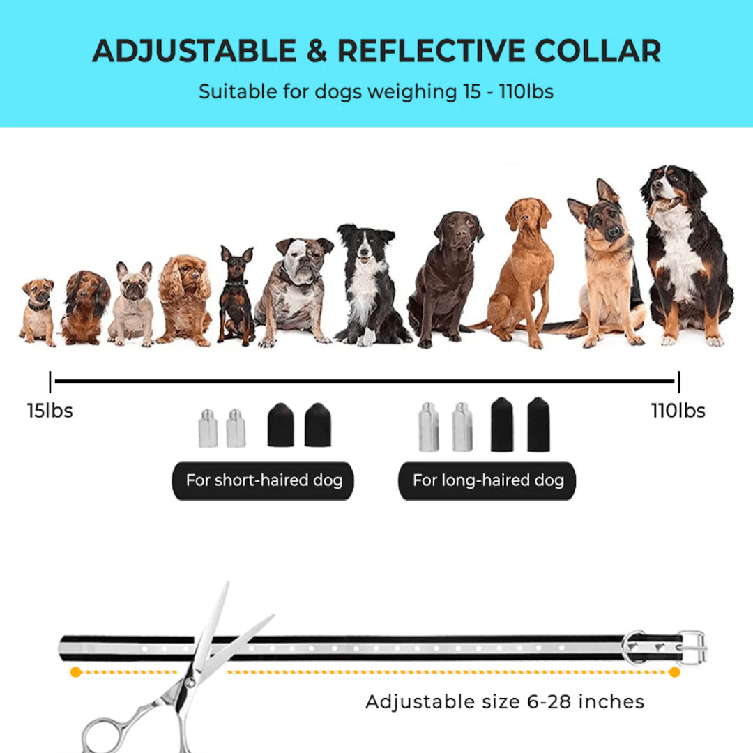 PupiPatro Portable Wireless GPS Dog Fence & Training Collar