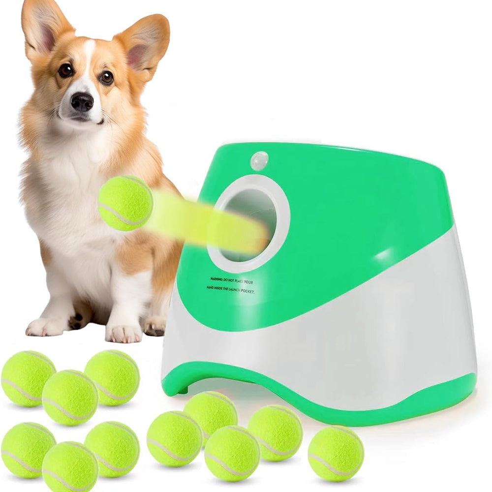 RodoWufi Automatic Dog Ball Launcher for Small and Medium Dogs