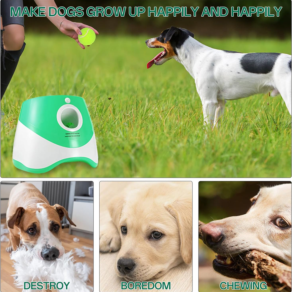RodoWufi Automatic Dog Ball Launcher for Small and Medium Dogs