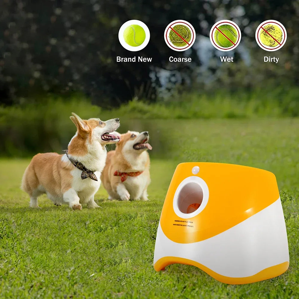 RodoWufi Automatic Dog Ball Launcher for Small and Medium Dogs