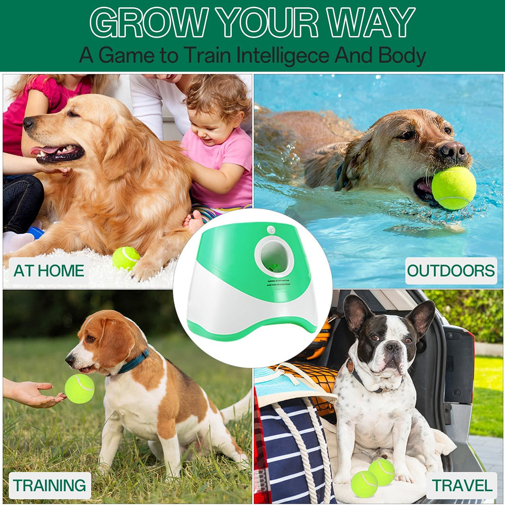 RodoWufi Automatic Dog Ball Launcher for Small and Medium Dogs