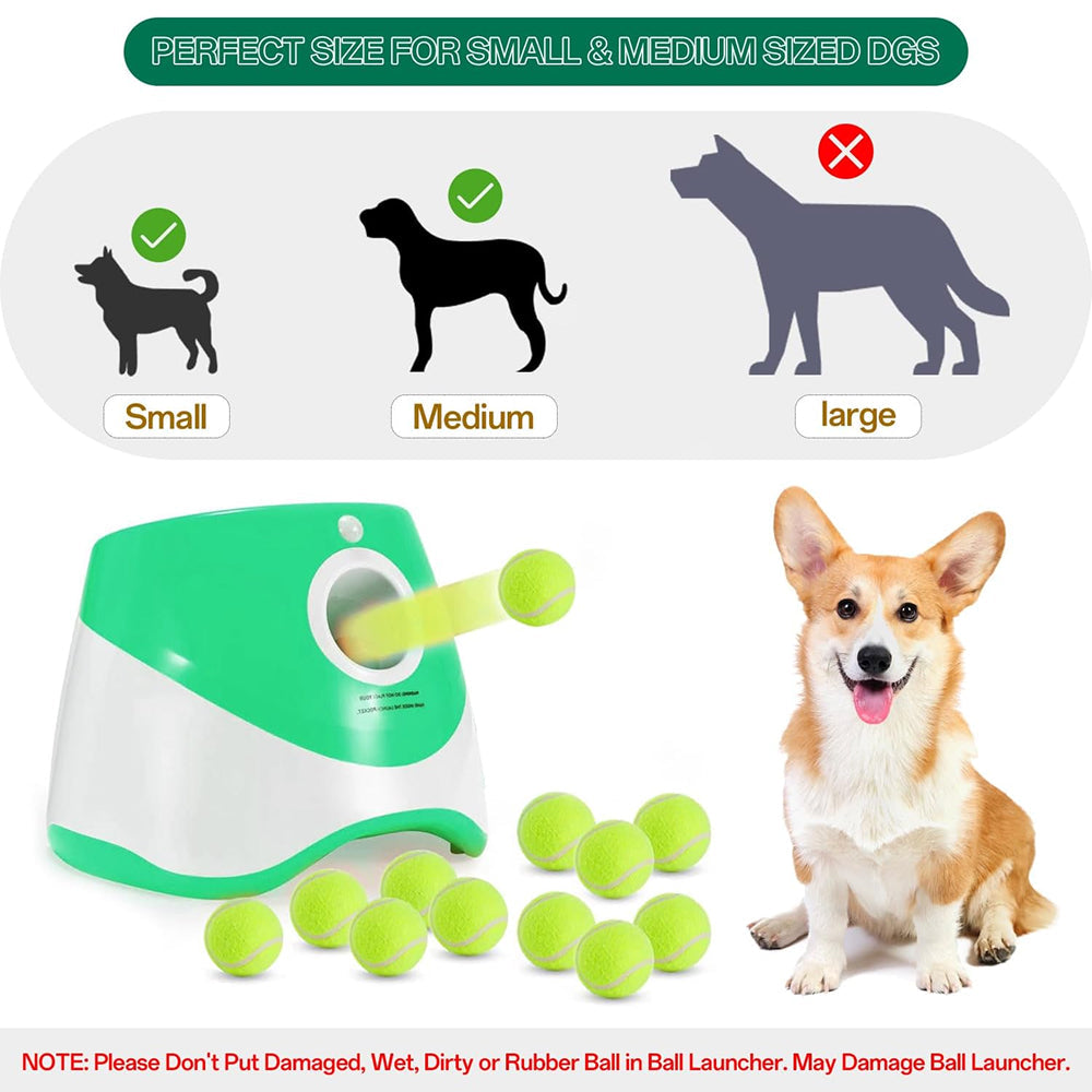 RodoWufi Automatic Dog Ball Launcher for Small and Medium Dogs