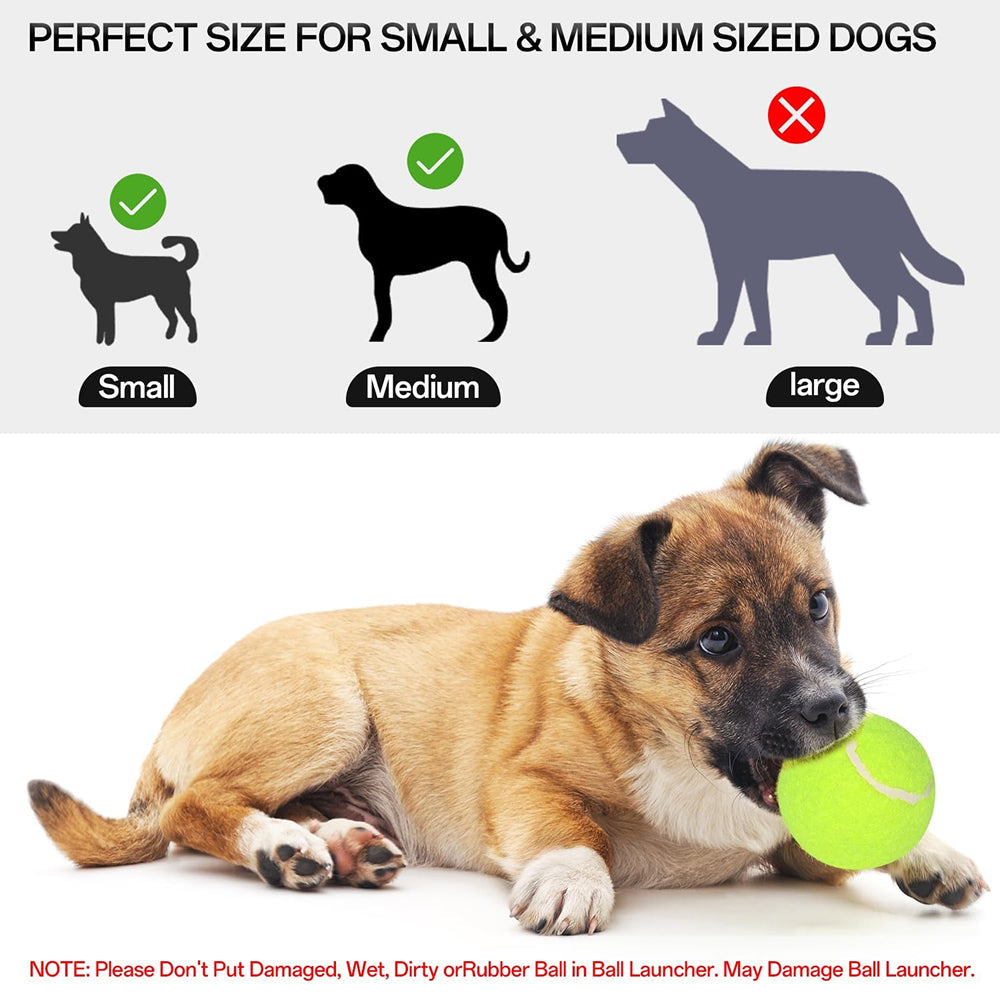 RodoWufi Automatic Dog Ball Launcher for Small and Medium Dogs