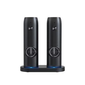 SalteSonic